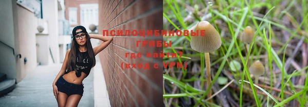 стафф Балабаново