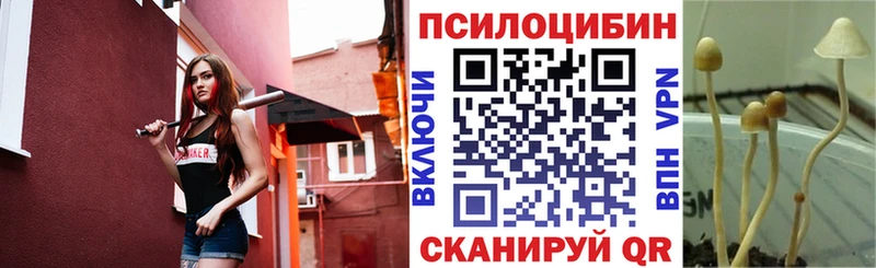 хочу наркоту  Чехов  omg вход  Псилоцибиновые грибы Psilocybe 
